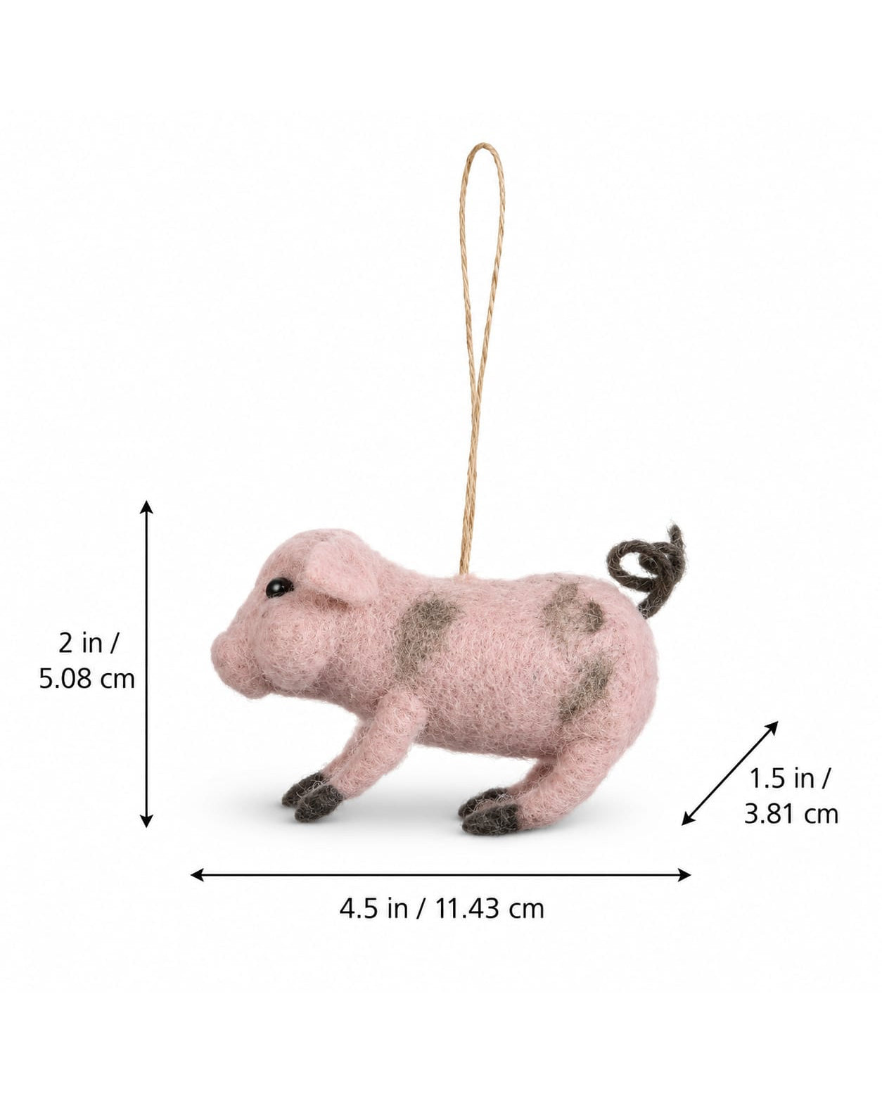 Lucky Pig Ornament Set of 2 hanging ornament