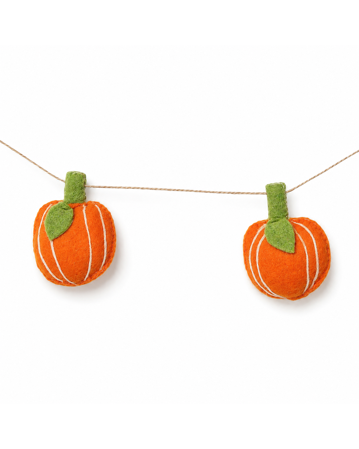 Pumpkin Garland