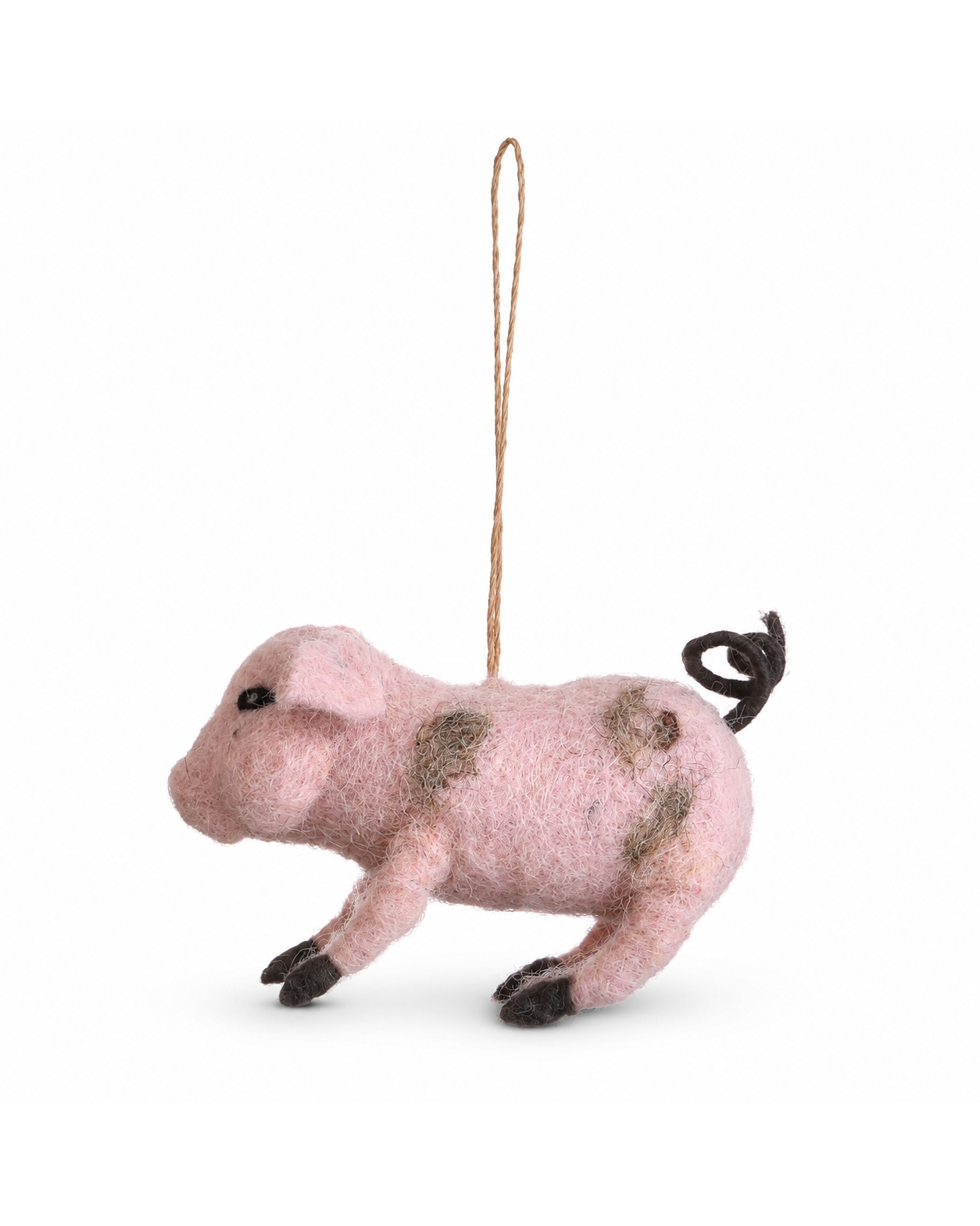 Lucky Pig Ornament Set of 2 hanging ornament