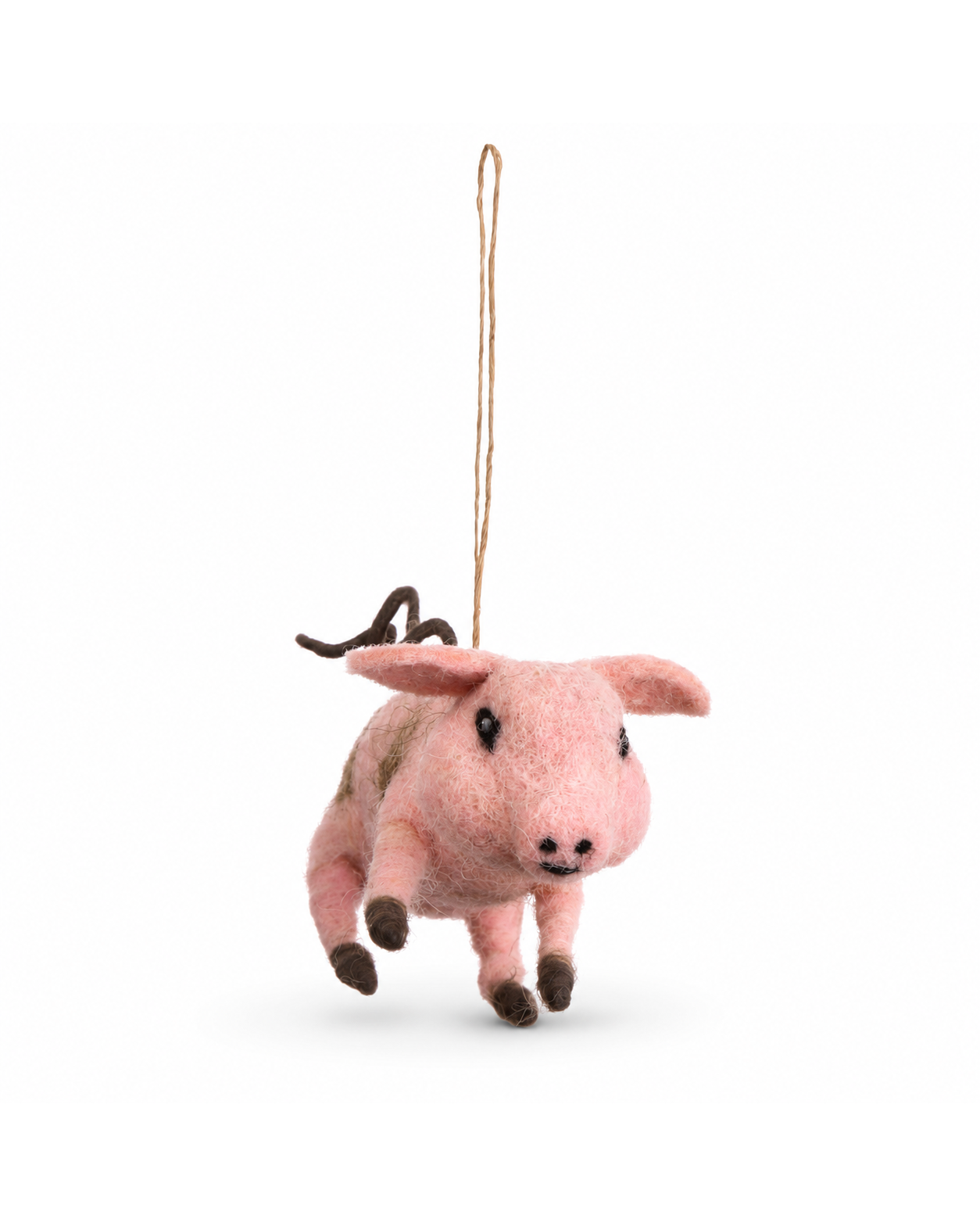 Lucky Pig Ornament Set of 2 hanging ornament